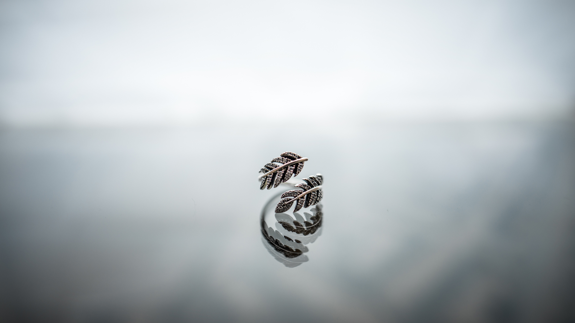 პროდუქტი #1